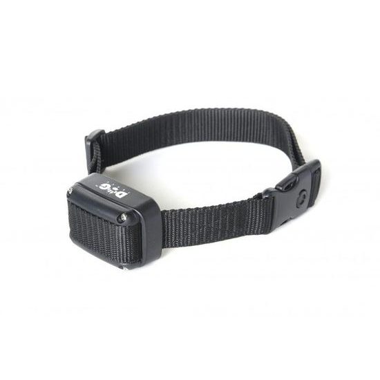 Dogtrace d-control 1002 for two dogs