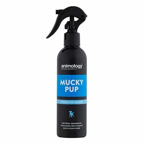 Champú sin aclarado para perros Animology Mucky Pup, 250 ml