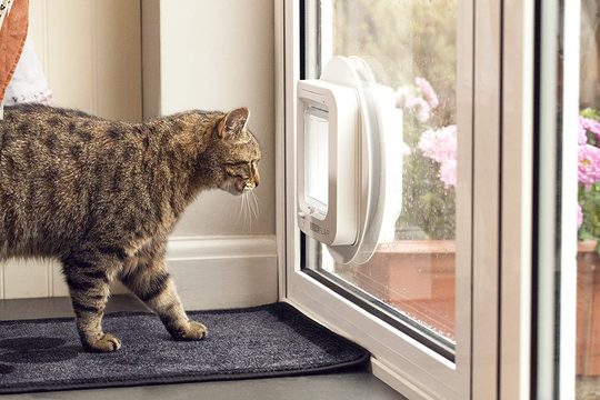 SureFlap DualScan door with microchip for cats Doors Electric Collars