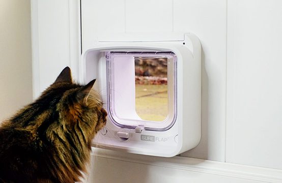 Puertas inteligentes para gatos Sureflap®