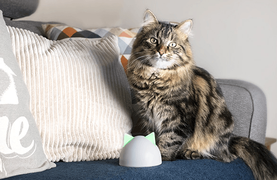 Sureflap connect pet door sale