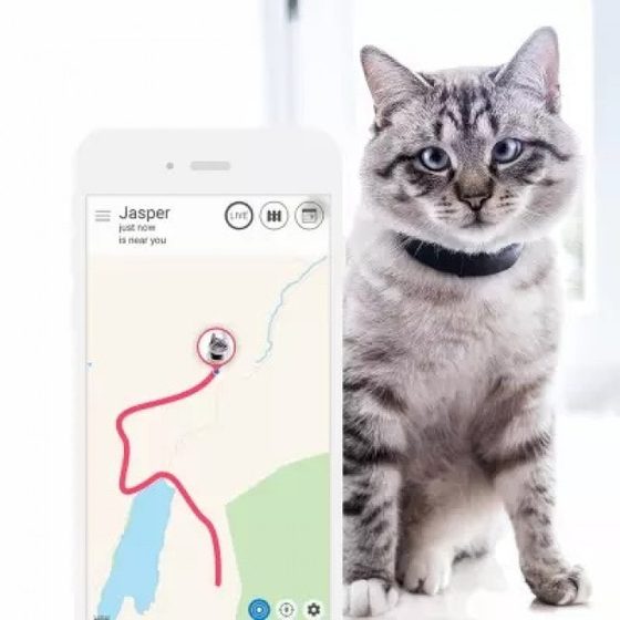 Najlepsze lokalizatory GPS, obroże i trackery dla psów i kotów -  Obroza-Elektryczna.pl ®