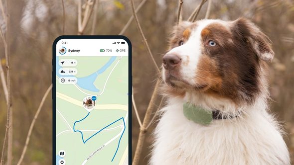Tractive GPS DOG XL - Green