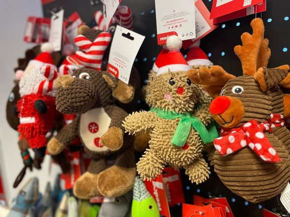 Vianočné plyšové hračky pre psov Reedog - Elektricke-Obojky.sk ®