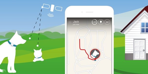 Nejlepší GPS lokátory, obojky a trackery pro psy i kočky - Elektro-Obojky.cz  ®