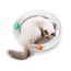 PetKit 3en1 Rascador, juguete y cama para gatos