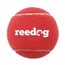 Reedog tennis ball for the dog - XL