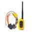 Dogtra Pathfinder 2 Mini - GPS y collar de adiestramiento