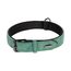 Leather collar Flamingo Delu green