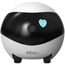 EBO SE Moving Pet Camera