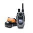 Dogtra 640X for 2 dogs
