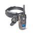 Dogtra ARC 800 Free Plus