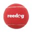 Pelota de tenis para perro Reedog - L