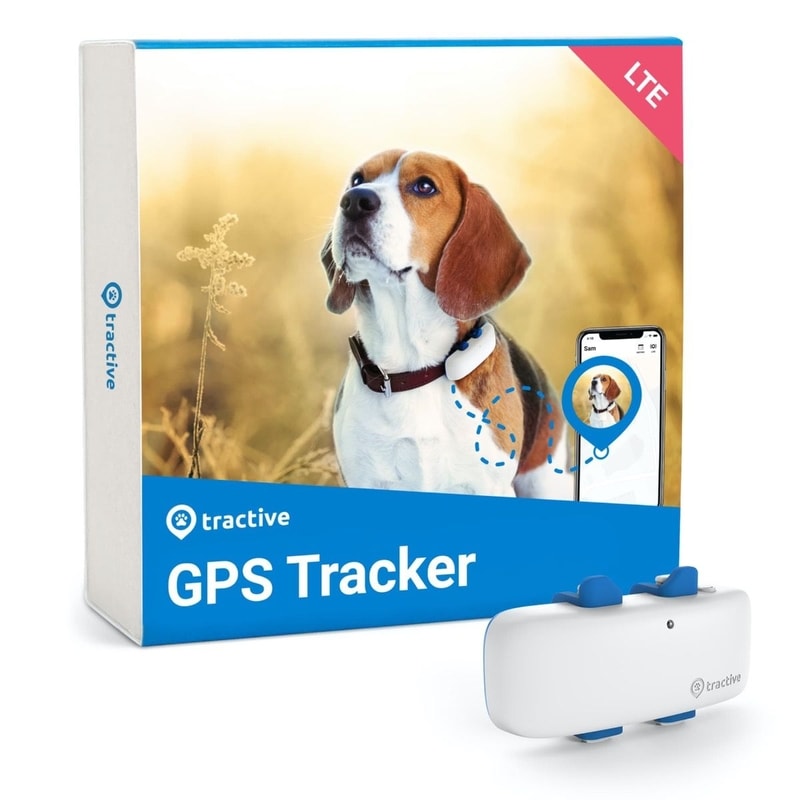 Tractive GPS DOG 4 – GPS-Ortung und Aktivitäten für Hunde - GPS Halsbänder  für Hunde - Elektro-Halsbander.de