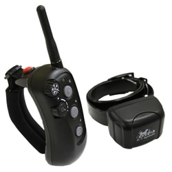 D.T. Systems R.A.P.T. 1400