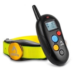 Patpet 310