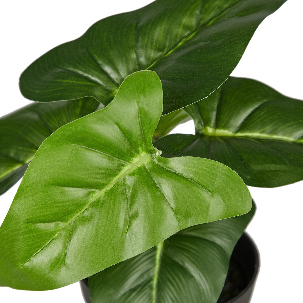 FLORISTA műnövény, filodendron cserépben, 20 cm termék 2. képe