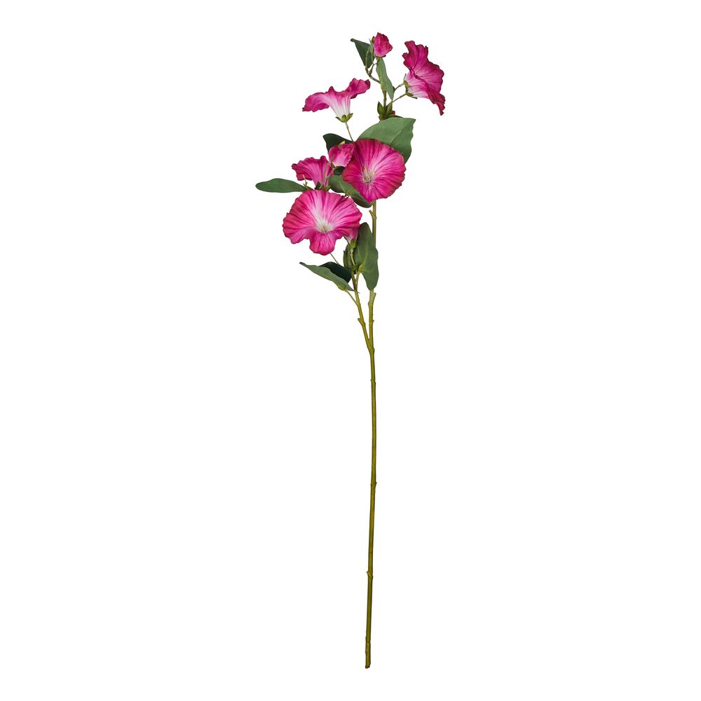 FLORISTA hajnalpír 76cm , meggypiros
