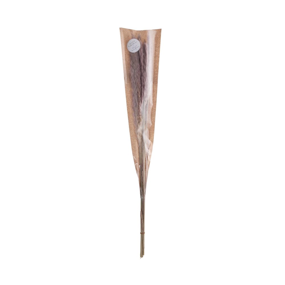 FLOWER MARKET szárított pampafű, natúr 70cm akciós termékkép 1
