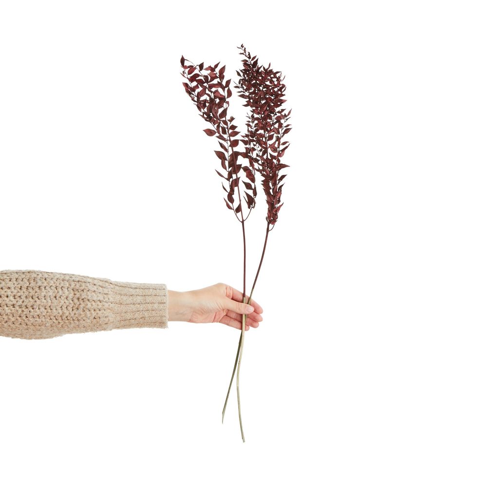 FLOWER MARKET szárított ruscus, bordó 70cm akciós termékkép 1