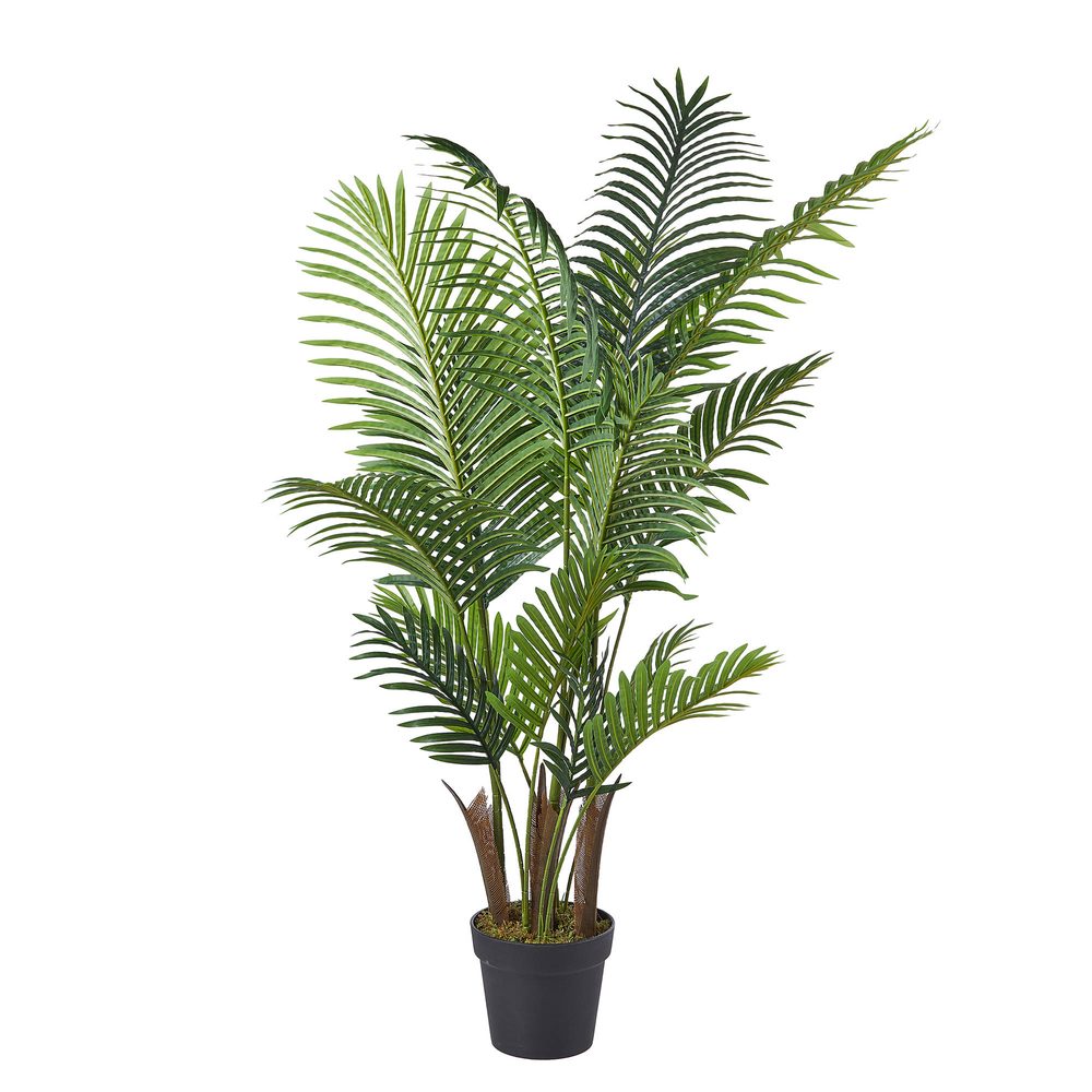 FLORISTA cserepes páfrány 142 cm akciós termékkép 1