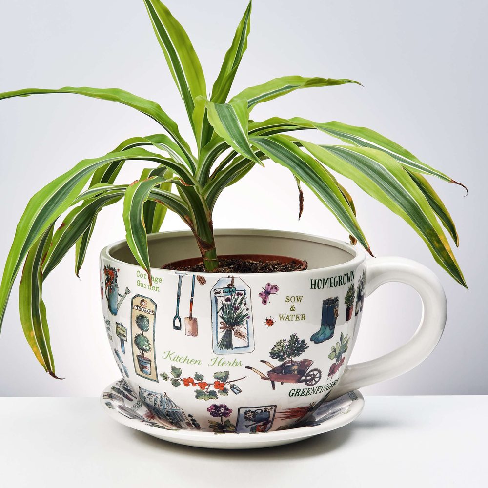 PLANT A CUP csésze alakú kaspó, kertész mintás termék 2. képe