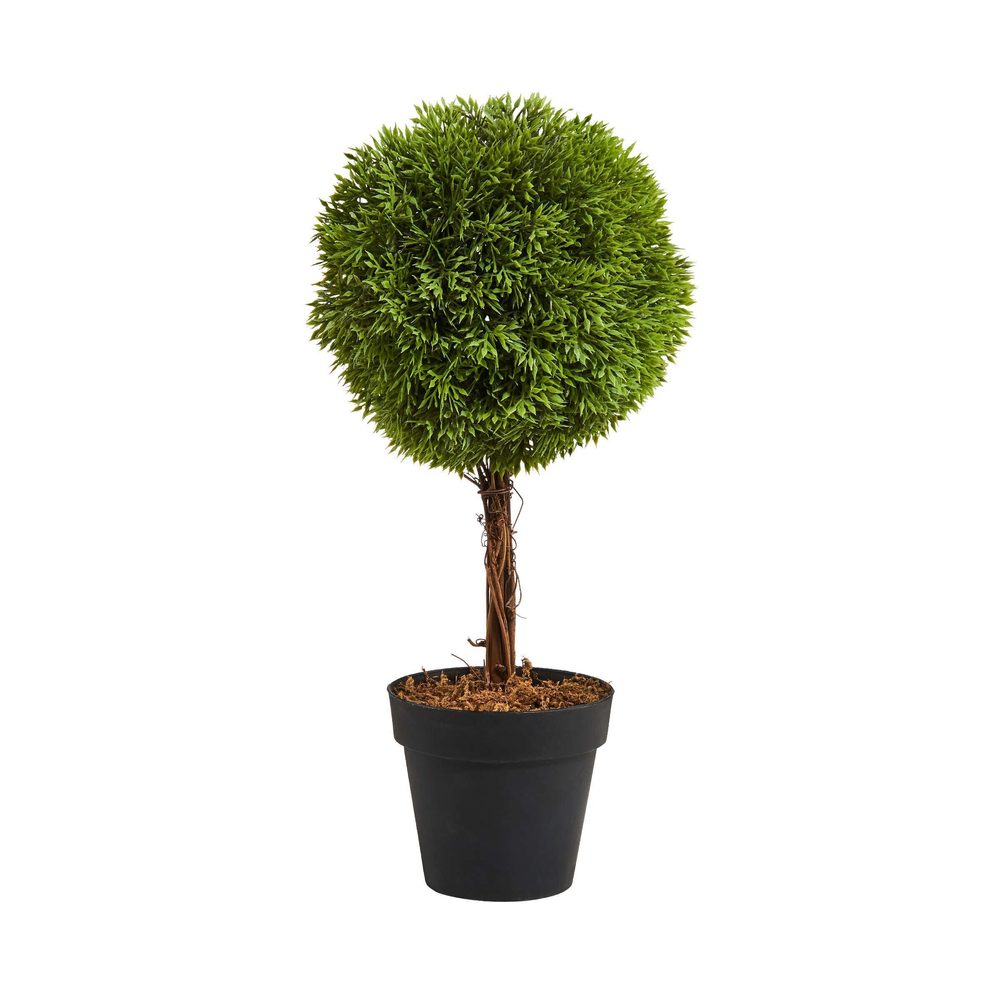FLORISTA mini cserepes bukszus, 35 cm magas akciós termékkép 1