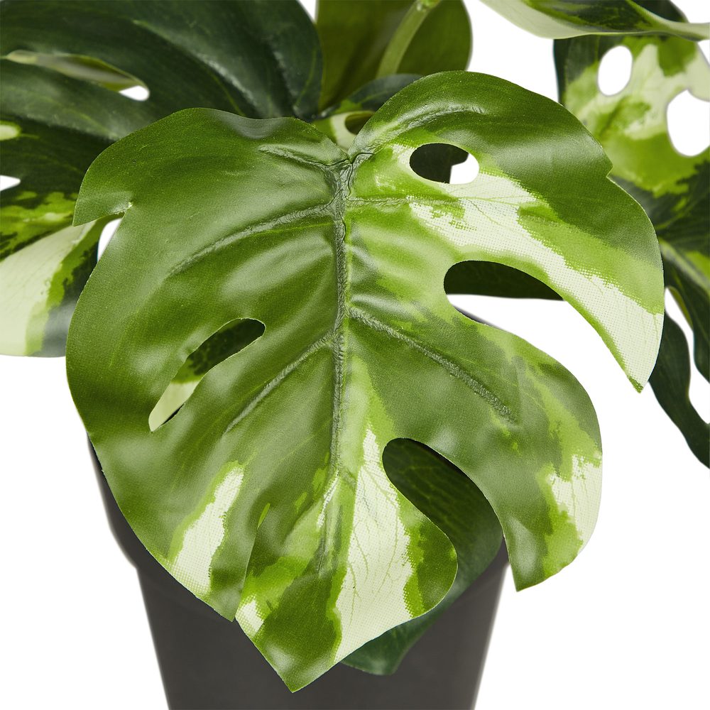 FLORISTA műnövény, monstera cserépben, 20 cm termék 2. képe