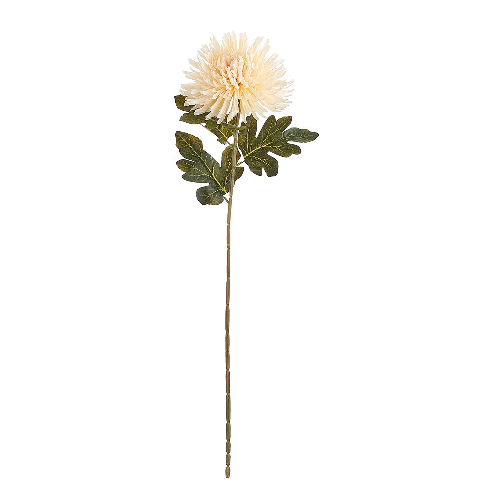 FLORISTA krizantém, krémszín  73cm