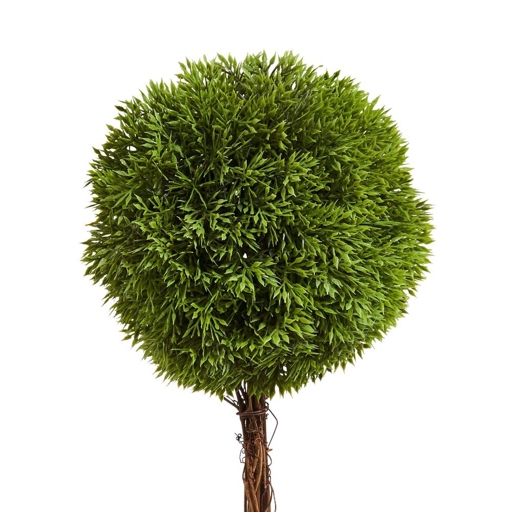 FLORISTA mini cserepes bukszus, 35 cm magas termék 2. képe