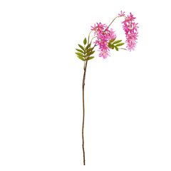 000000001000448212-0