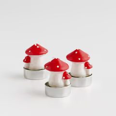 HOME & YOU 3 db-os teamécses szett, gombák