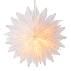 000000001000433214-0