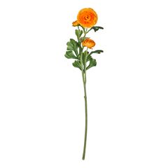 000000001000512726-0