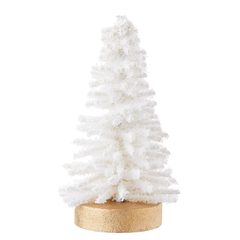 000000001000436066-0