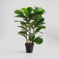 HOME & YOU műnövény, fikusz cserépben 64,5cm