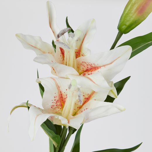 000000001000513309-1