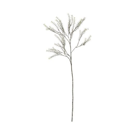 WINTERGREEN ELODEA, 73 CM