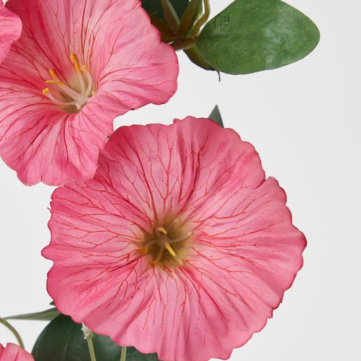 000000001000512754-1