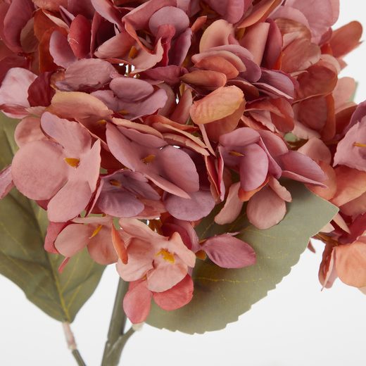 000000001000484643-2