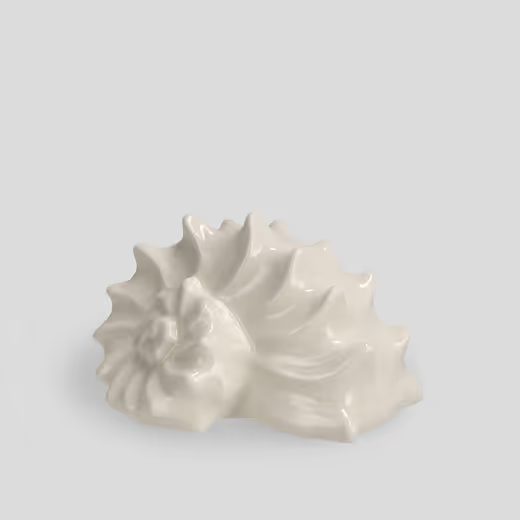 HOME & YOU DEKOR KAGYLÓ 14CM FEHÉR