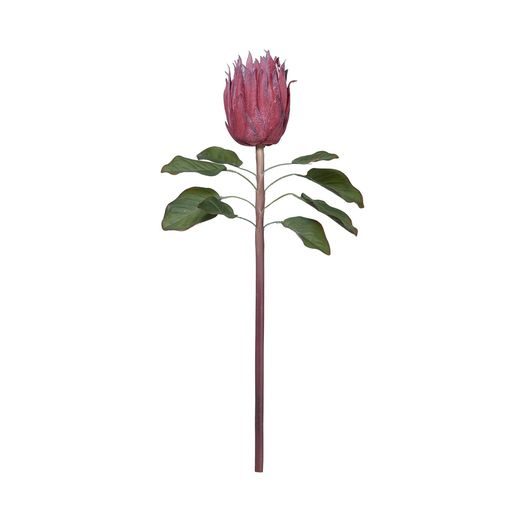 FLORISTA PROTEA, MÁLYVA 60 CM