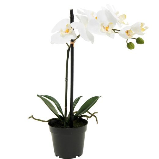 FLORISTA ORCHIDEA KRÉM 39CM