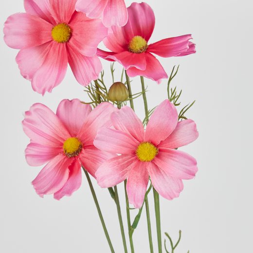 000000001000512740-1