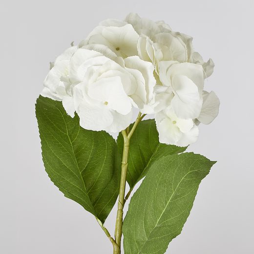 000000001000452897-1