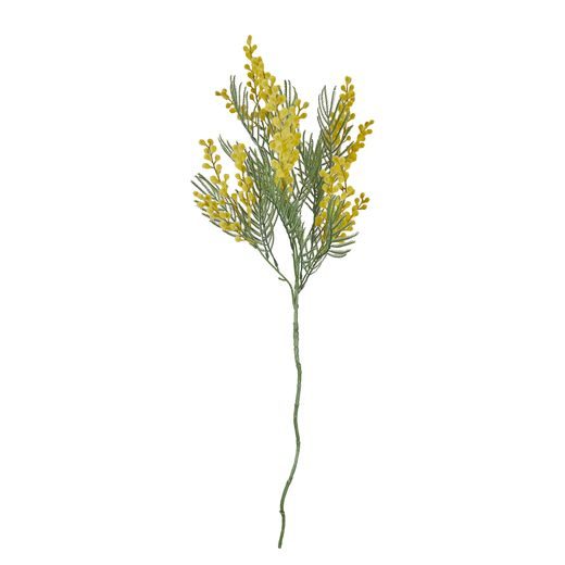 FLORISTA MIMÓZA, CITROMSÁRGA