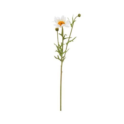 FLORISTA SZARKALÁB 56 CM