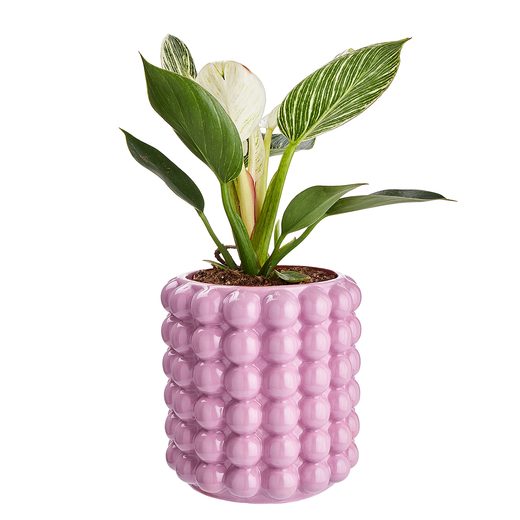 000000001000422322-1