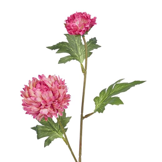 000000001000472205-1