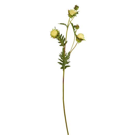 FLORISTA BOGÁNCSÁG ZÖLD 106CM